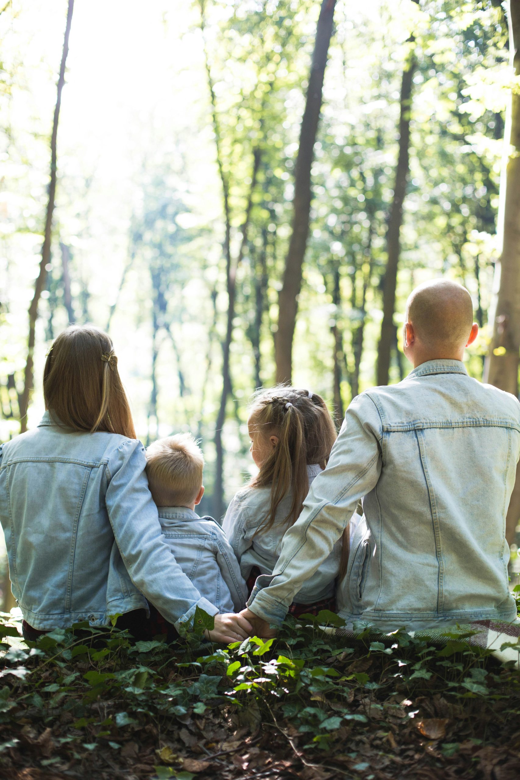 A family of four sitting together on the ground in a sunlit forest, seen from behind